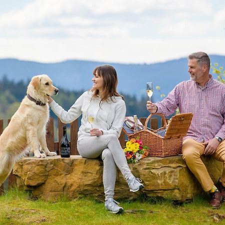 Wellness Aparthotel Martinak Horní Bečva Екстериор снимка